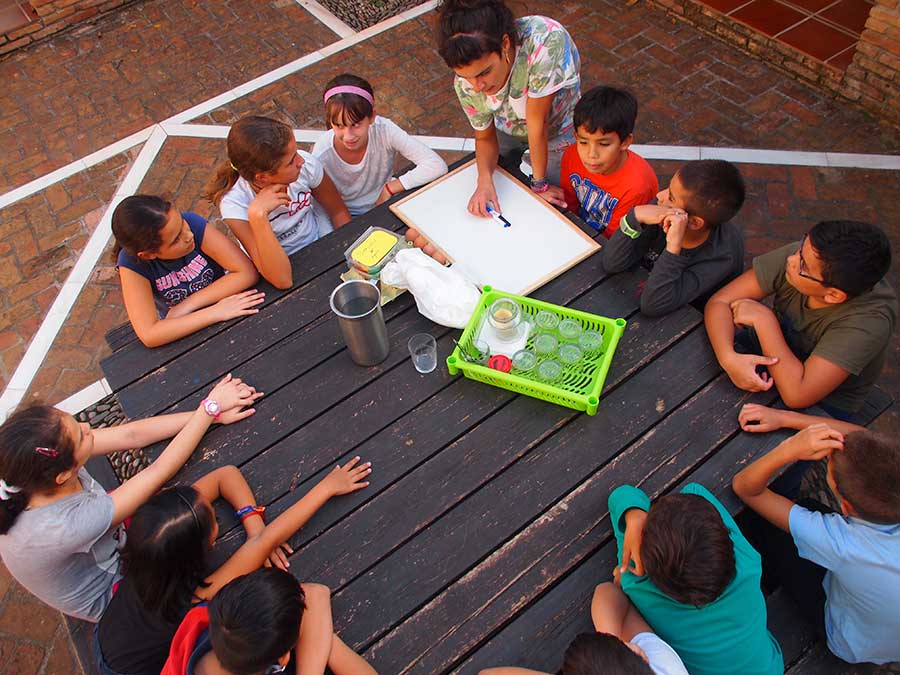 Alumnos de El Gracia trabajando en equipo